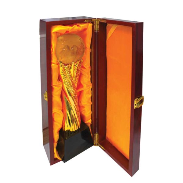 Trophy - Design & Printing Company Product from Digital Canvas