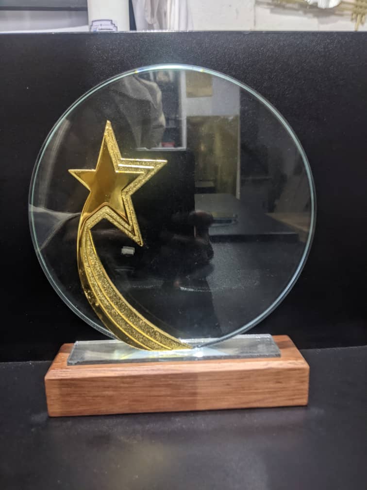 Golden Shooting Star Trophy with Wooden Base - Promotional Product from Digital Canvas Design & Printing Company